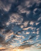 Анкета проститутки Ульяна - метро Дорогомилово, возраст - 22